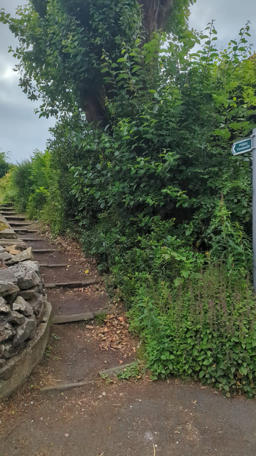 Steps image